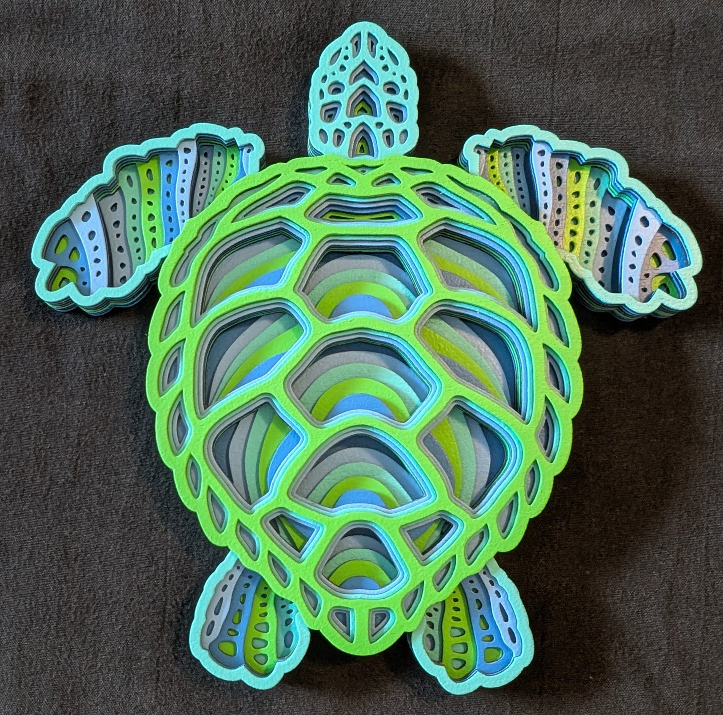 Turtle 1